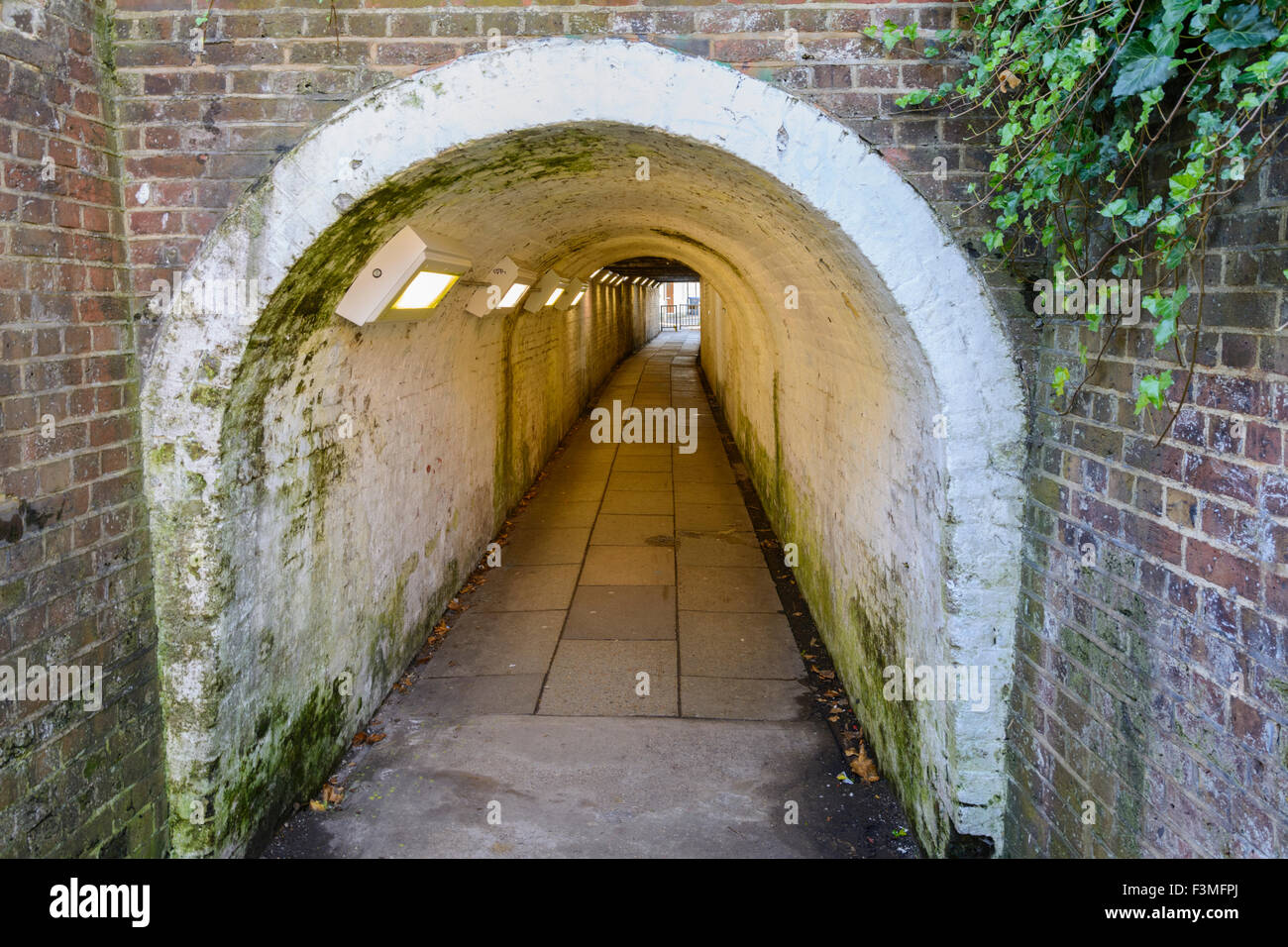 Ivy Arch Fußgängertunnel unterhalb einer Eisenbahn in Worthing, West Sussex, England, UK. Stockfoto