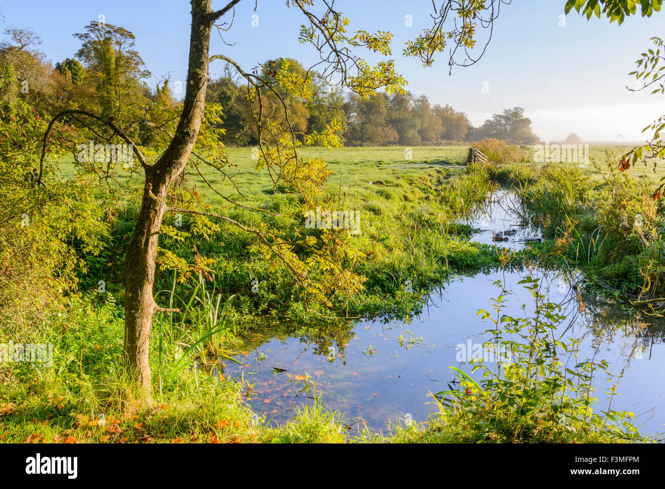 Landschaft-Feld mit Wasser im Herbst in der frühen Morgensonne in Arundel, West Sussex, England, UK. Stockfoto