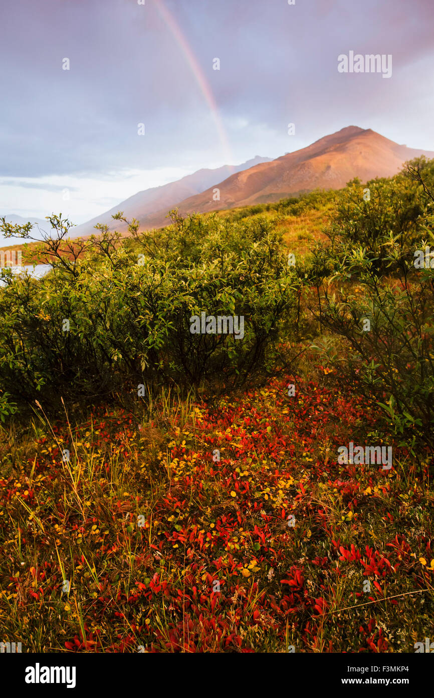 Regenbogen, Alaska, Arktis Alaska Stockfoto