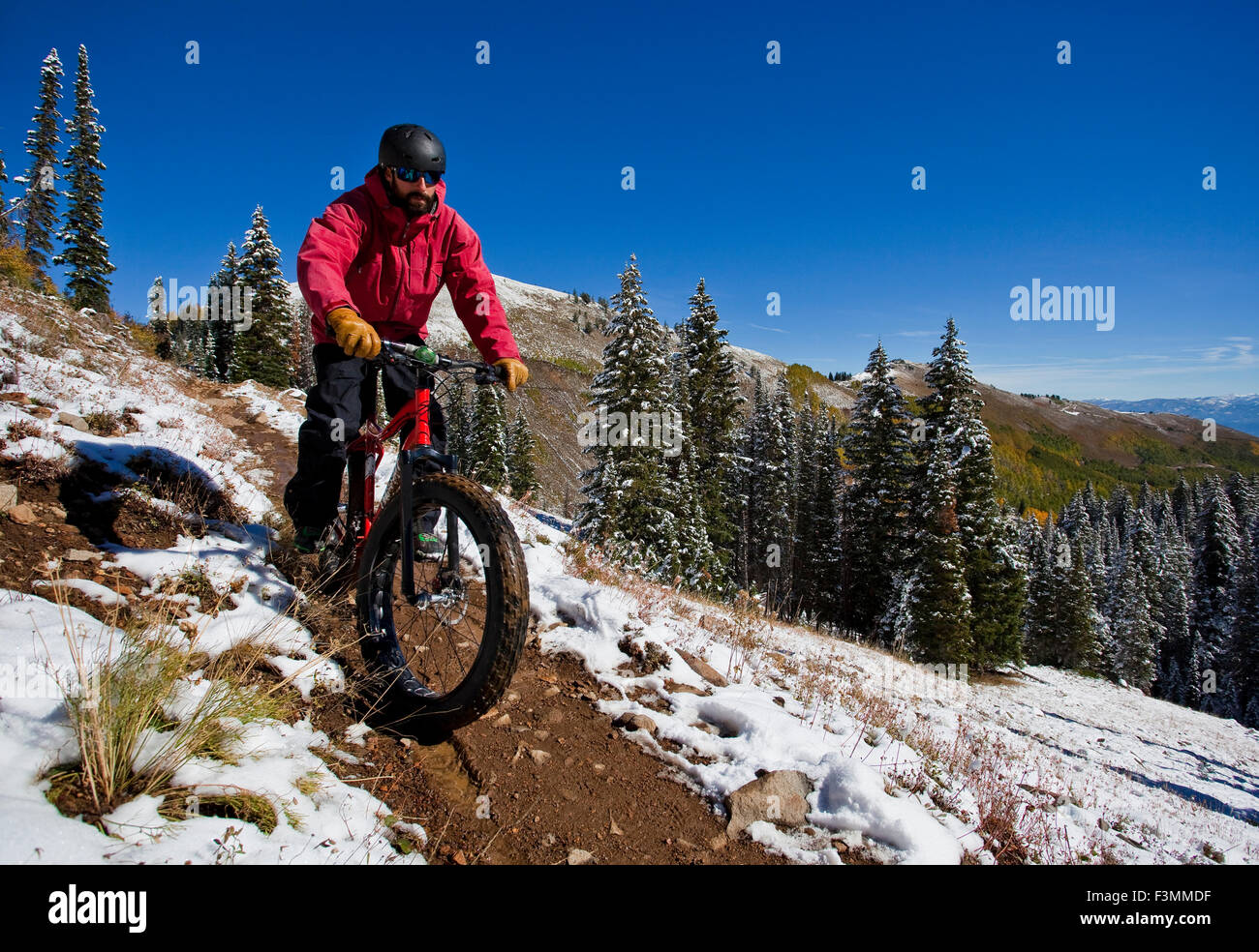 Fat Tire Bike Stockfoto