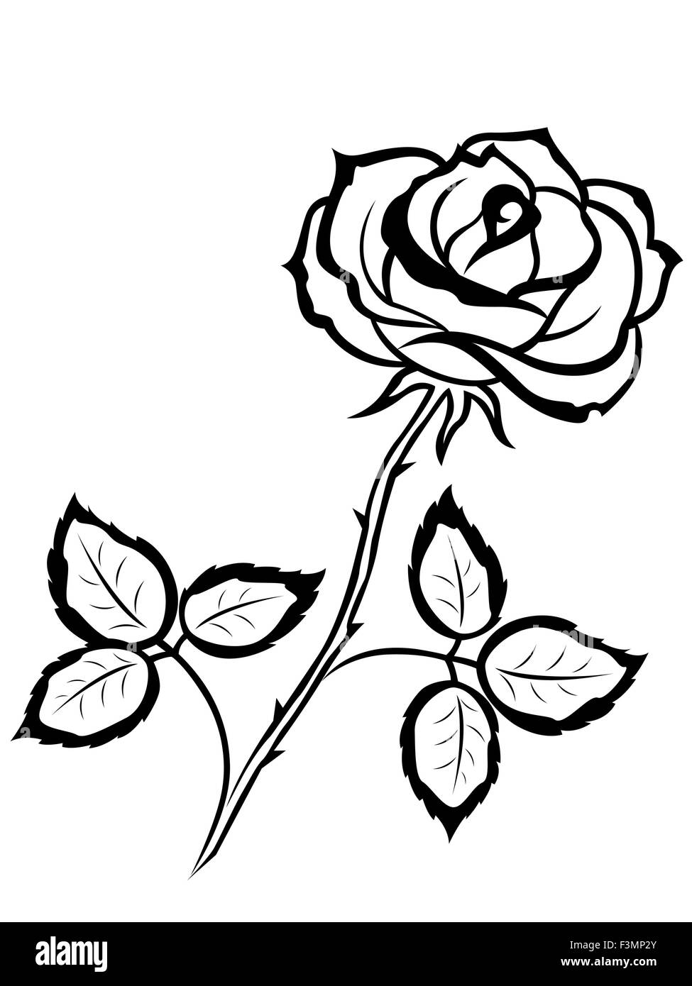 Schöne schwarze Überblick über einzelne rose Blume isoliert auf einem weißen Hintergrund, Vektor-illustration Stock Vektor