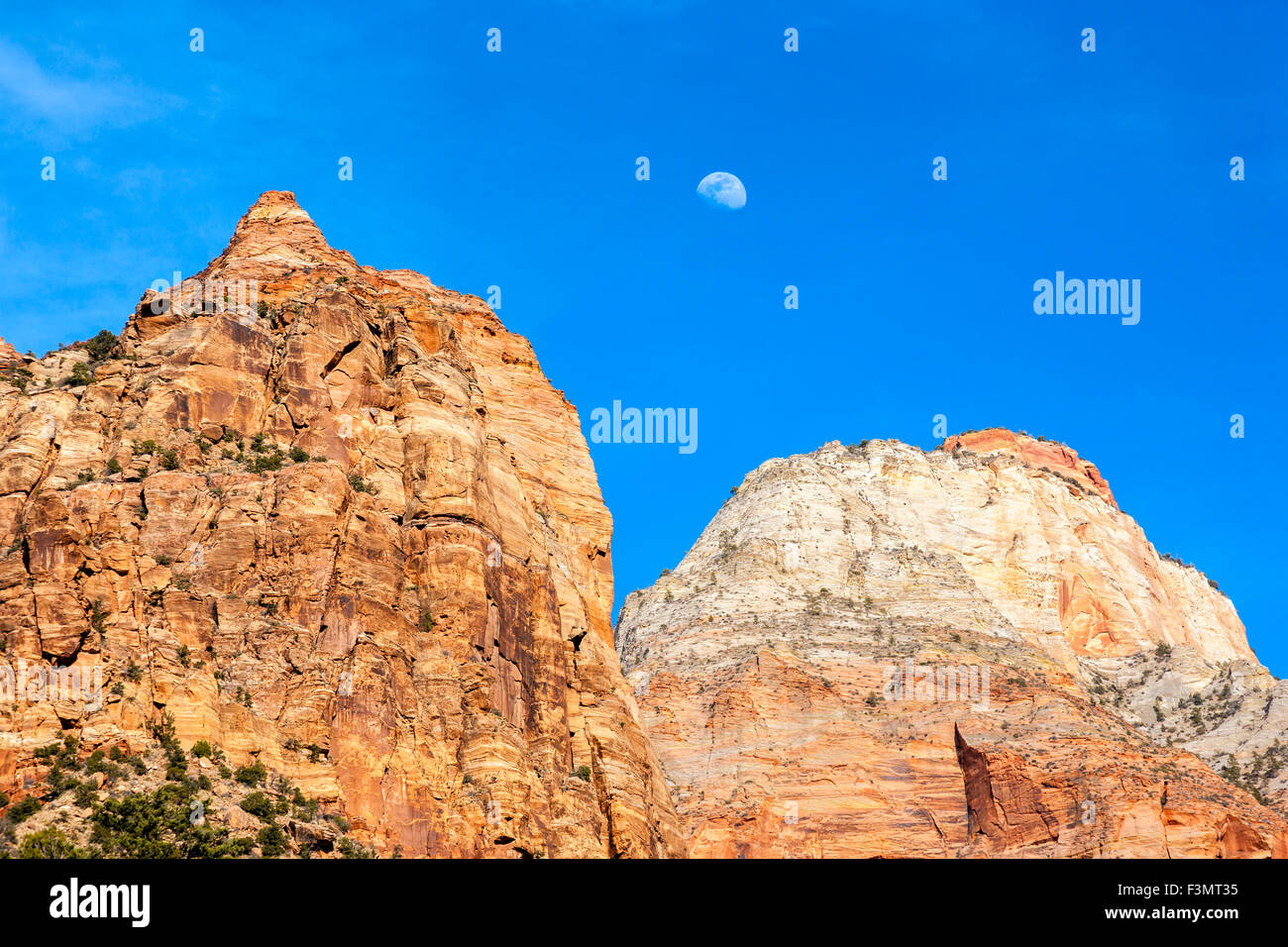 Mondaufgang über der Sentinel, Zion Nationalpark Stockfoto