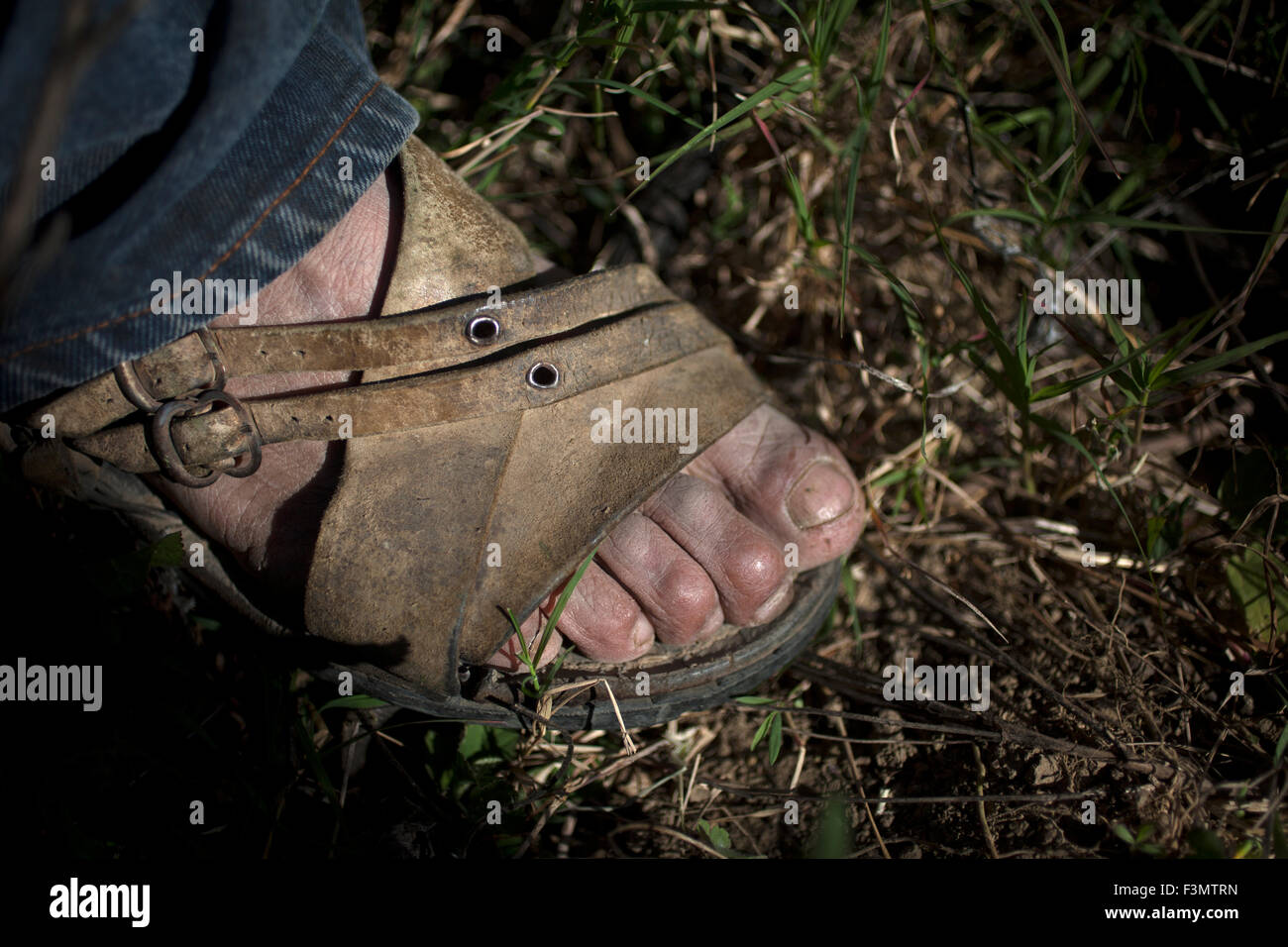 "Huarache" Sandalen von Tomas Villanueva Buendia "Tomaicito", die arbeitet, um zu schützen und retten die ursprünglichen Sorten von mexikanischen Mais Stockfoto