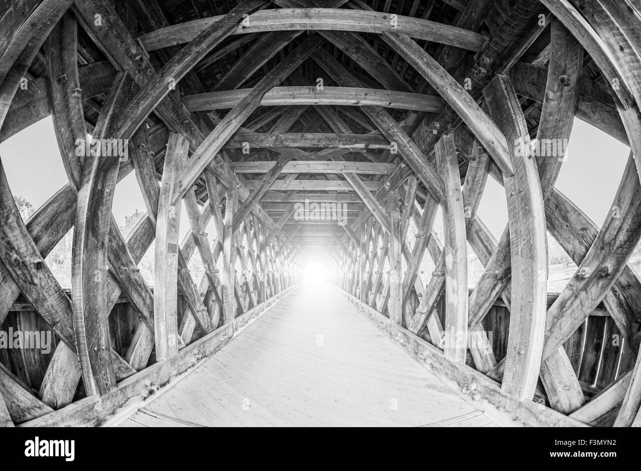 Guelph Covered Bridge. Stockfoto