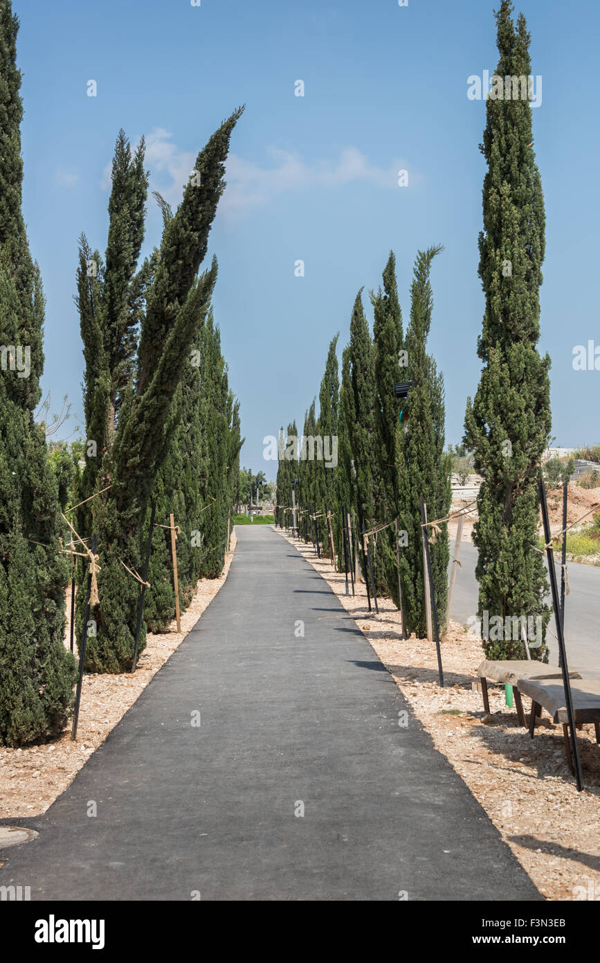 Besuch in Hiriya (Ariel Sharon Park), Israel Stockfoto