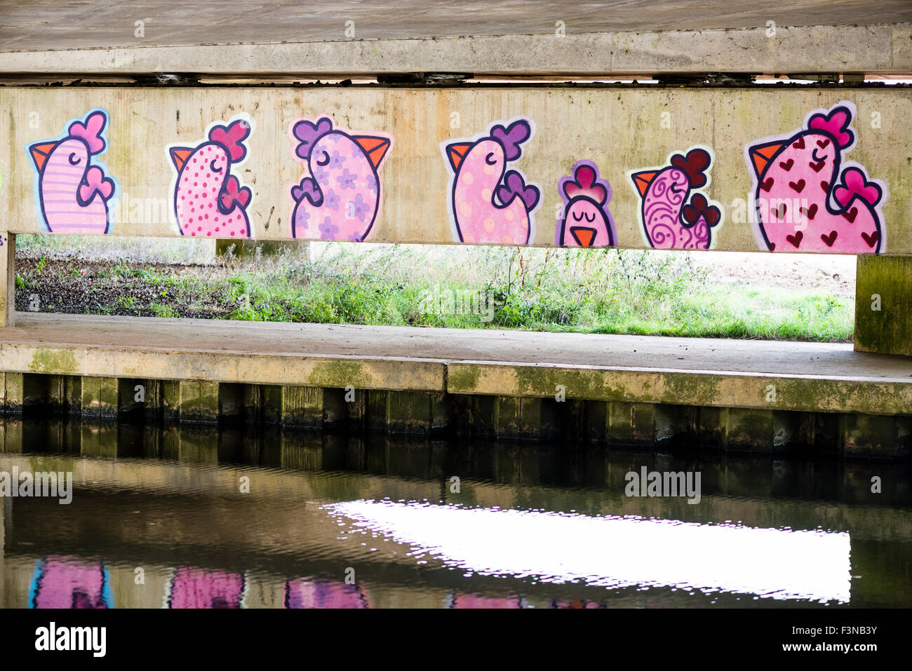 Bunte Graffiti unter einer Überführung über den Fluss Ouse, Milton Keynes, UK. Stockfoto