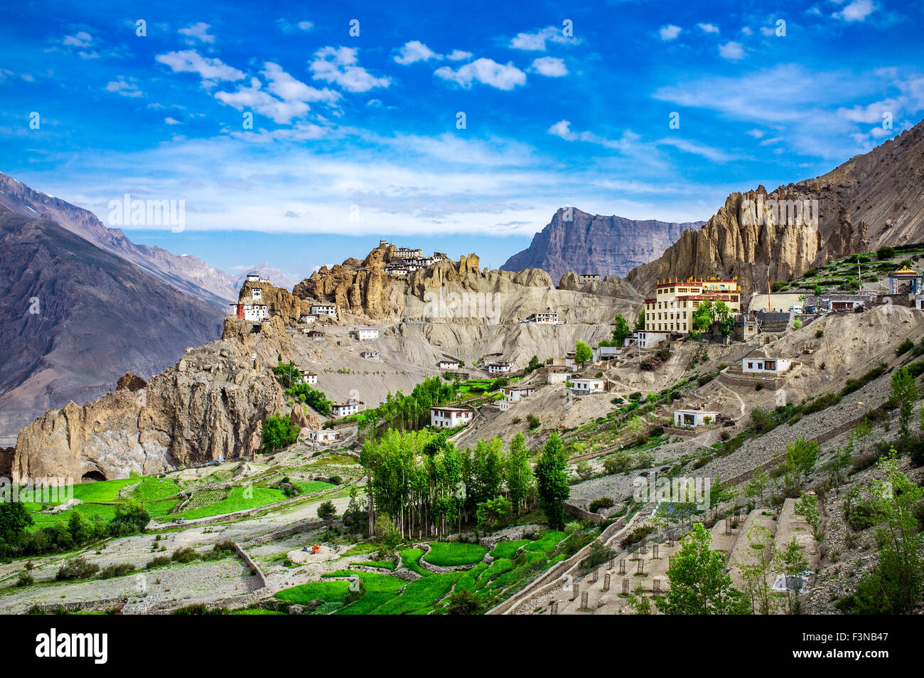 Dhankar Gompa. Spiti Valley, Himachal Pradesh, Indien Stockfoto