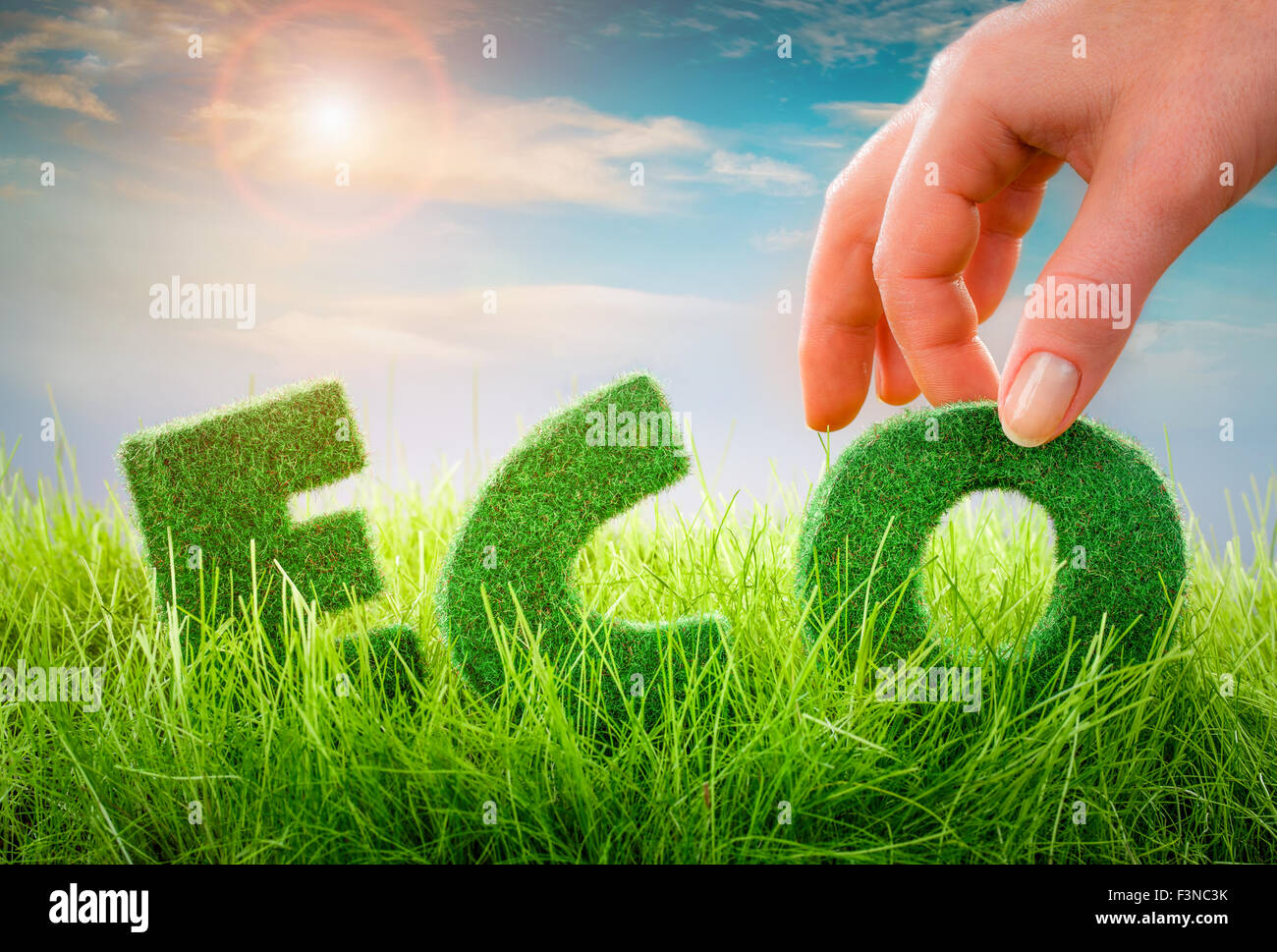 Buchstaben auf dem grünen Rasen auf blauem Hintergrund. Eco-Konzept. Stockfoto