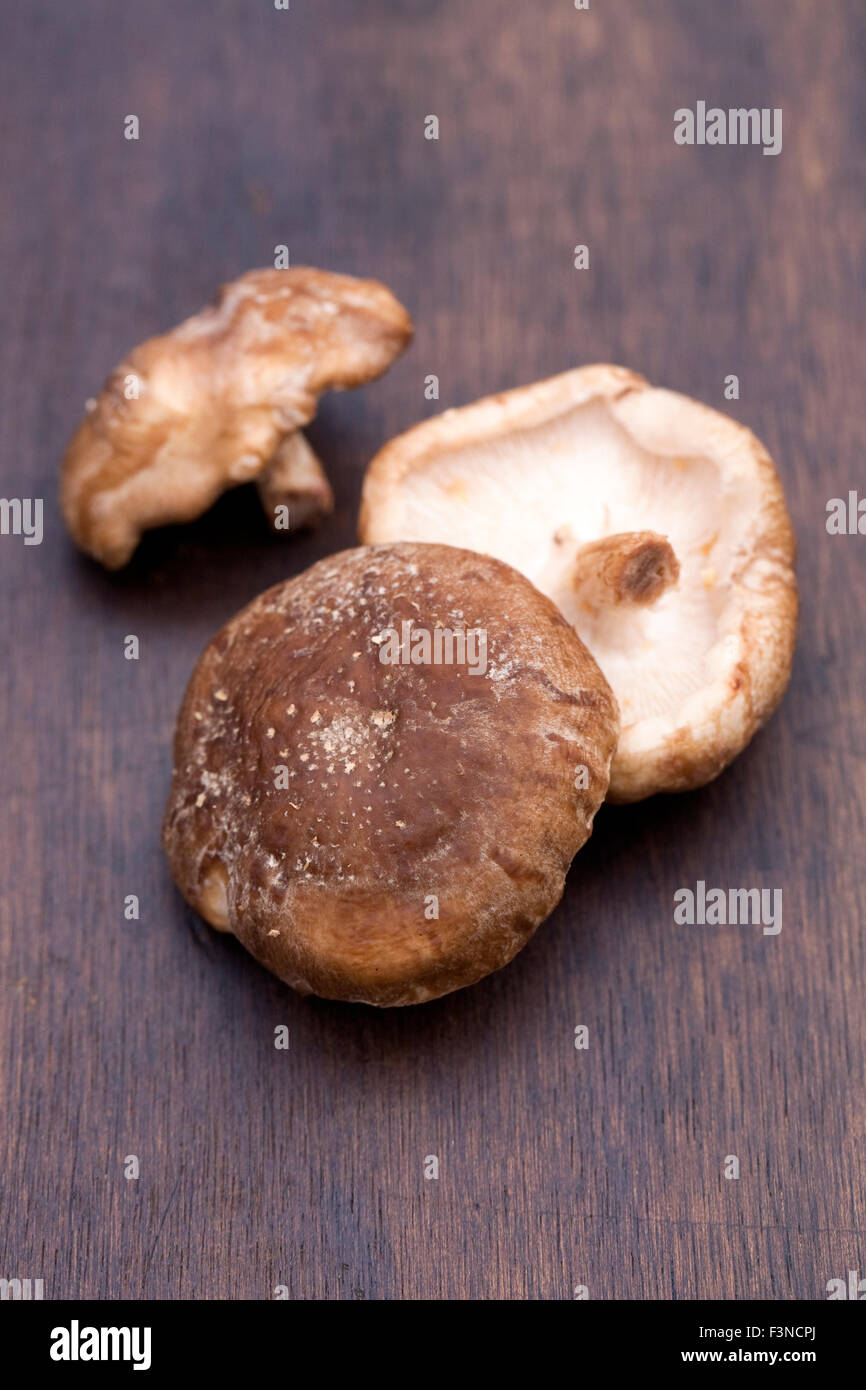 Lentinula Edodes. Shiitake-Pilze auf einem Holzbrett. Stockfoto