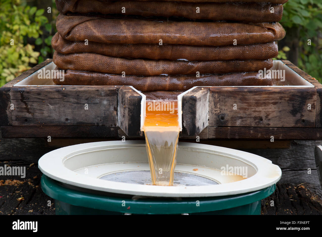 Apfelsaft aus einer traditionellen Vintage Apple Presse gießen. Stockfoto