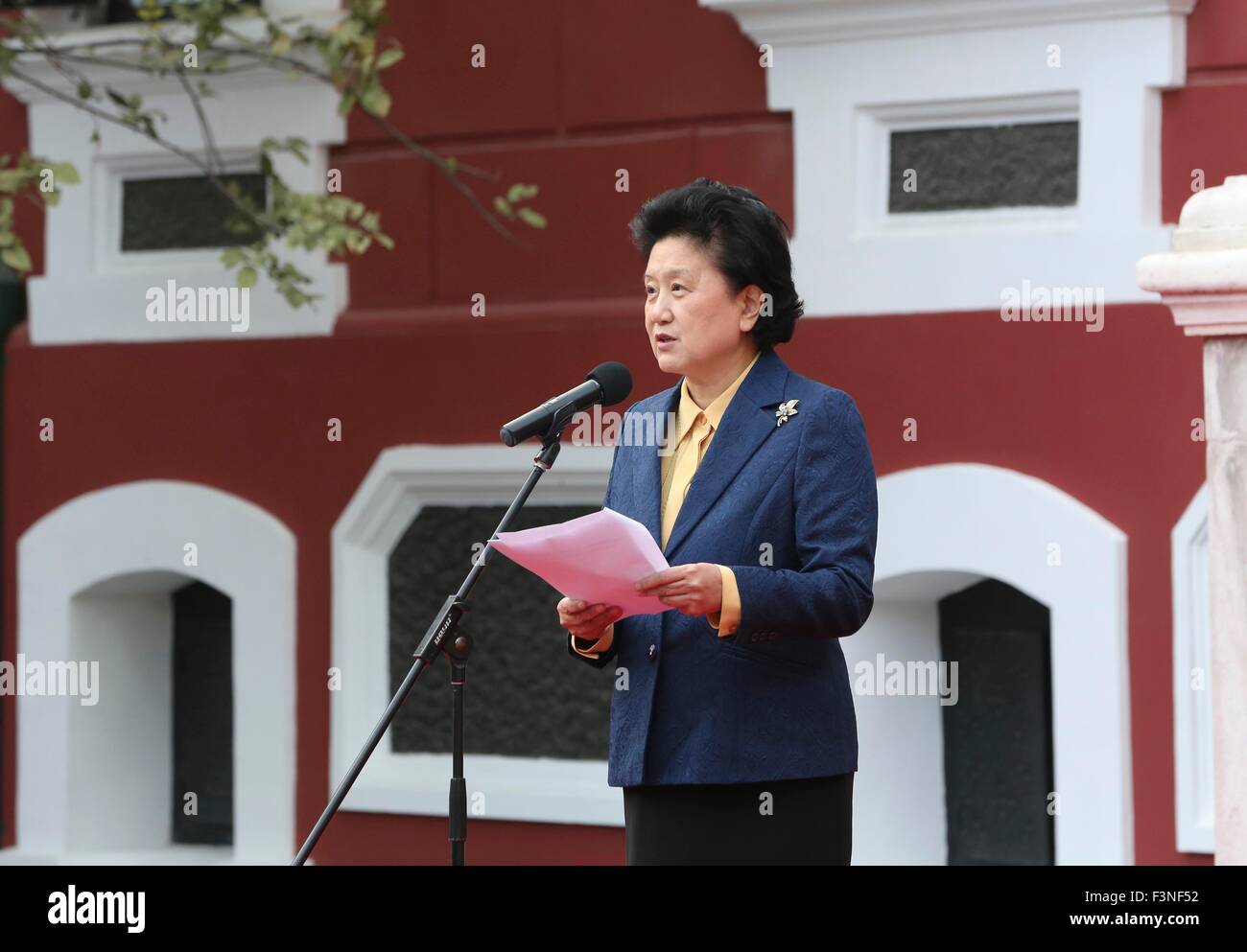 Peking, China. 10. Oktober 2015. Chinesischer Vize-Premier Liu Yandong besucht eine Aktivität, die anlässlich des 90. Jahrestages der Palastmuseum in Peking, Hauptstadt von China, 10. Oktober 2015. © Ding Lin/Xinhua/Alamy Live-Nachrichten Stockfoto