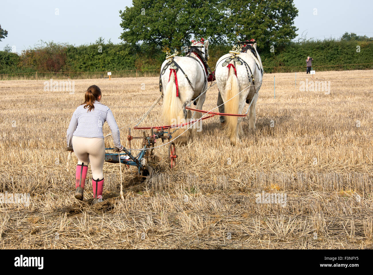 Die 65. britische Pflügen Landesmeisterschaft fand bei Marden Kent UK Stockfoto