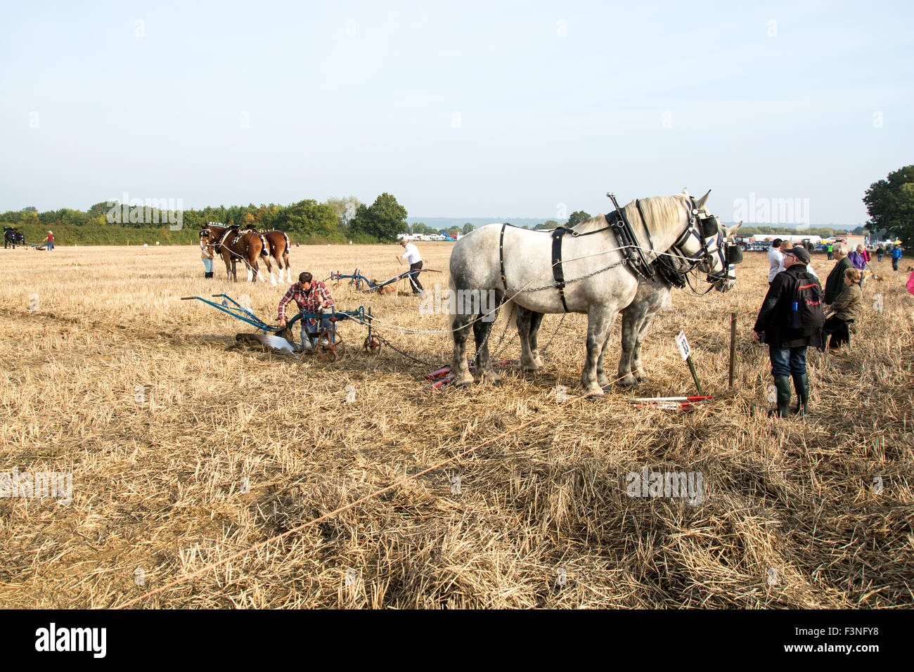 Die 65. britische Pflügen Landesmeisterschaft fand bei Marden Kent UK Stockfoto