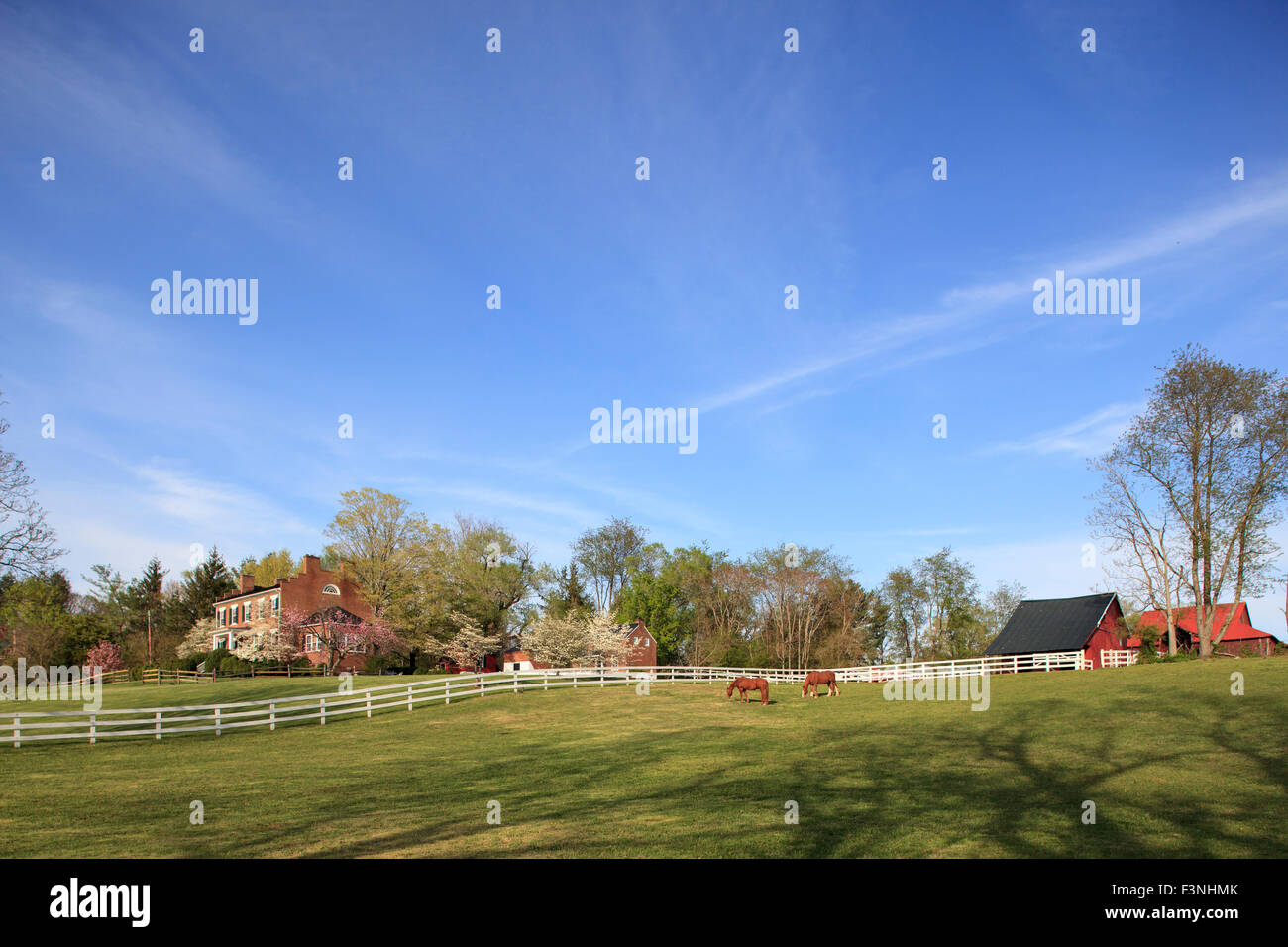 Haus mit Natur und Pferd Weide, Washington, Virginia, USA Stockfoto