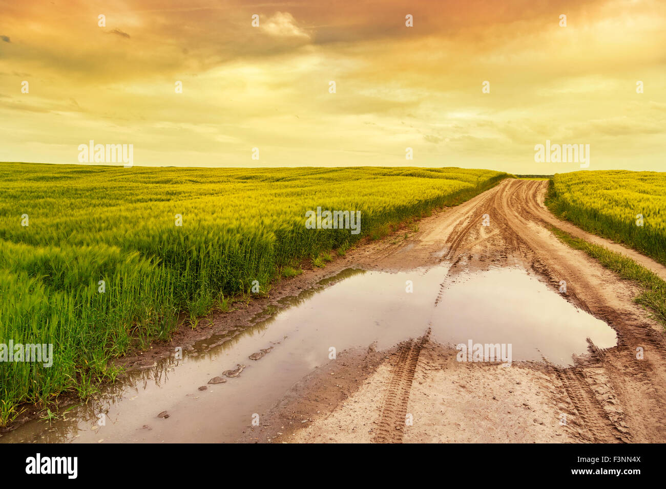 Sommerlandschaft mit grünem Rasen, Straße und Wolken in Ungarn Stockfoto