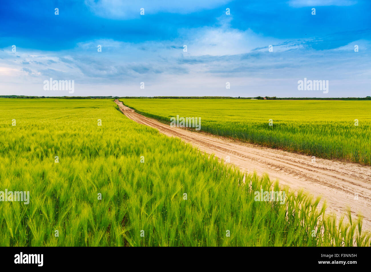 Sommerlandschaft mit grünem Rasen, Straße und Wolken in Ungarn Stockfoto