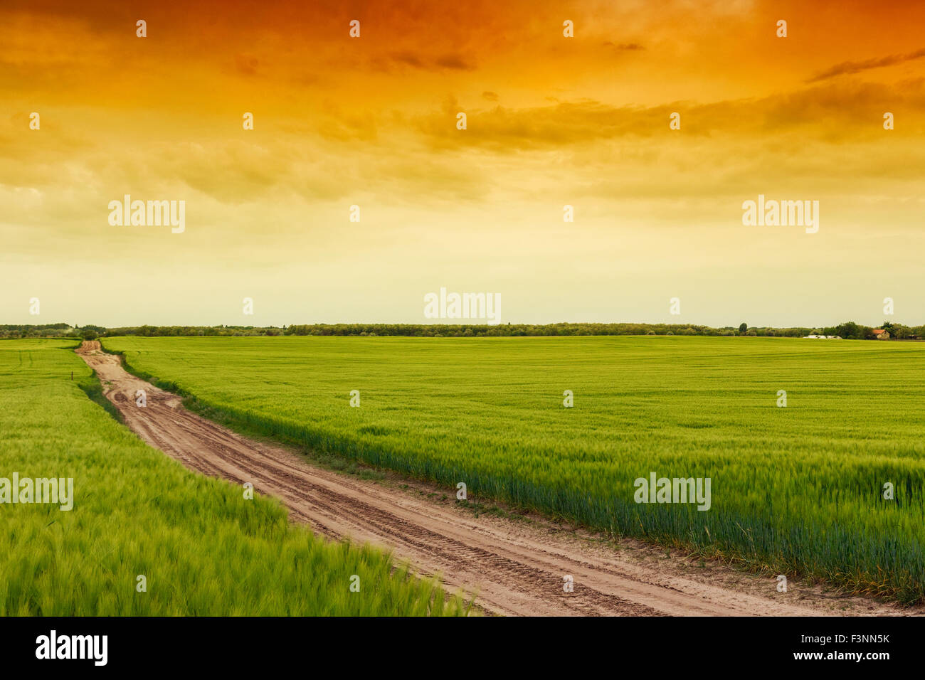 Sommerlandschaft mit grünem Rasen, Straße und Wolken in Ungarn Stockfoto