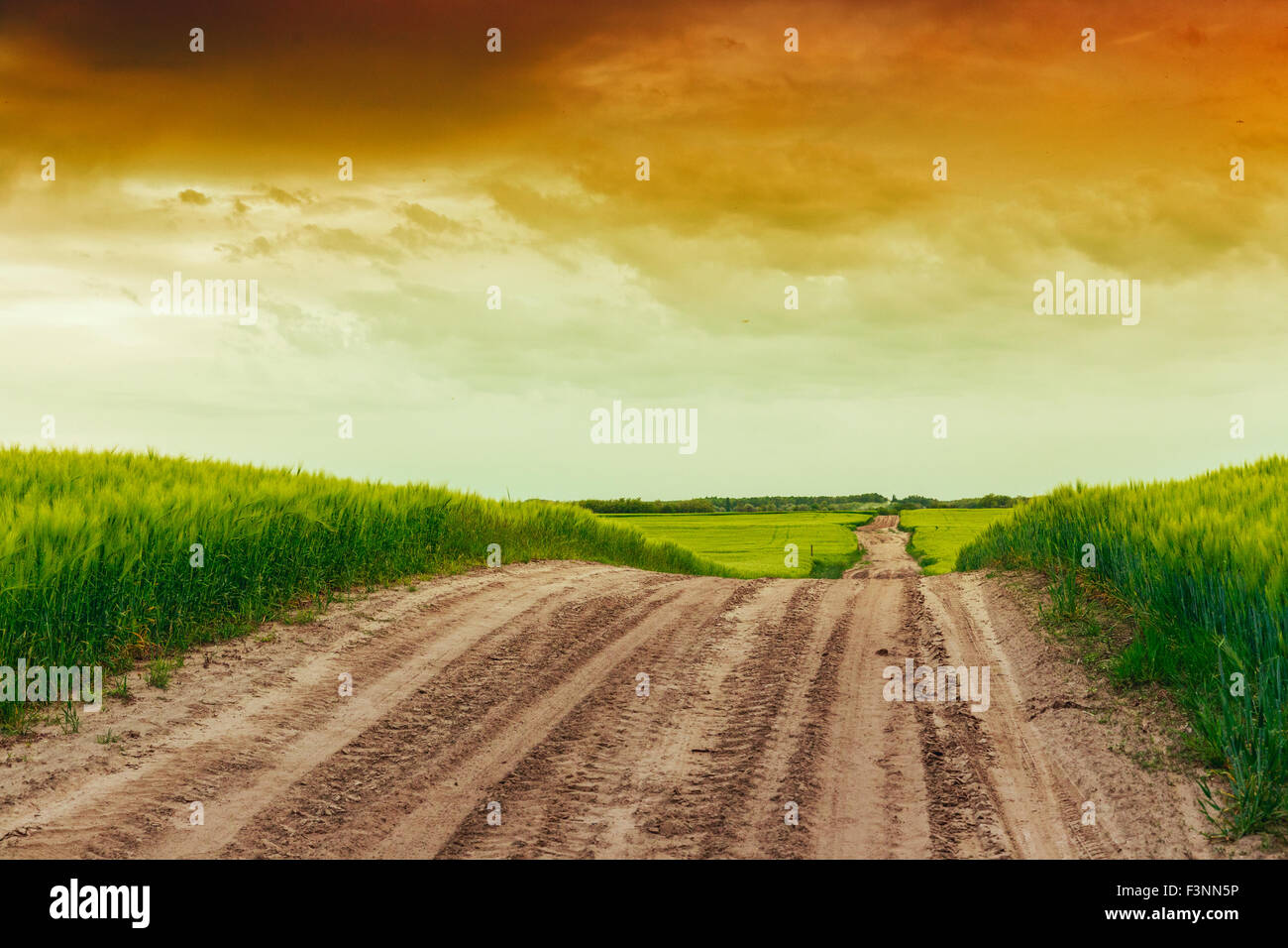 Sommerlandschaft mit grünem Rasen, Straße und Wolken in Ungarn Stockfoto