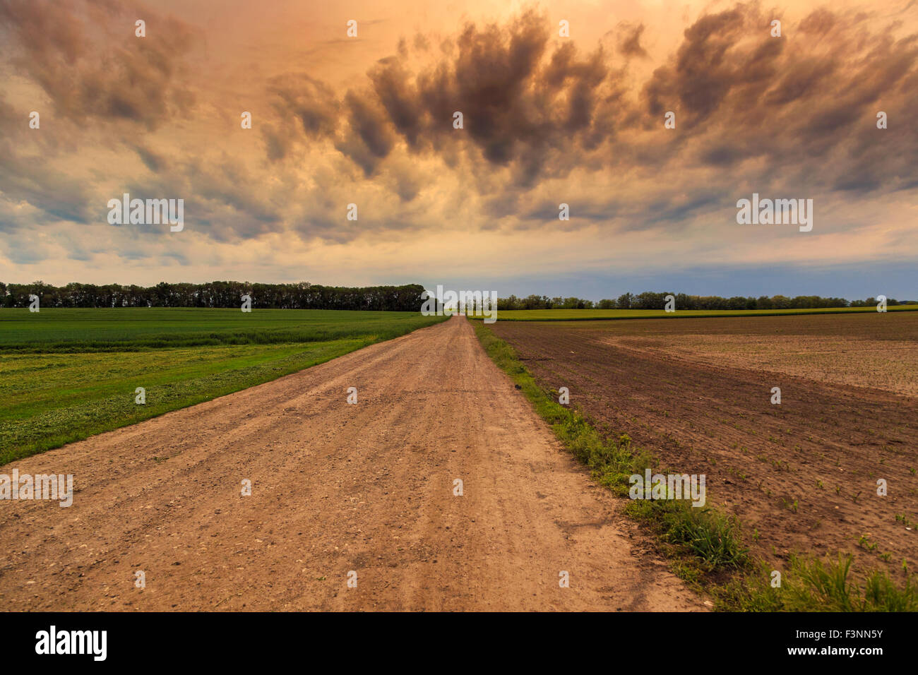 Verschmutzte Straße nach dramatischen Himmel Sommer in Ungarn Stockfoto