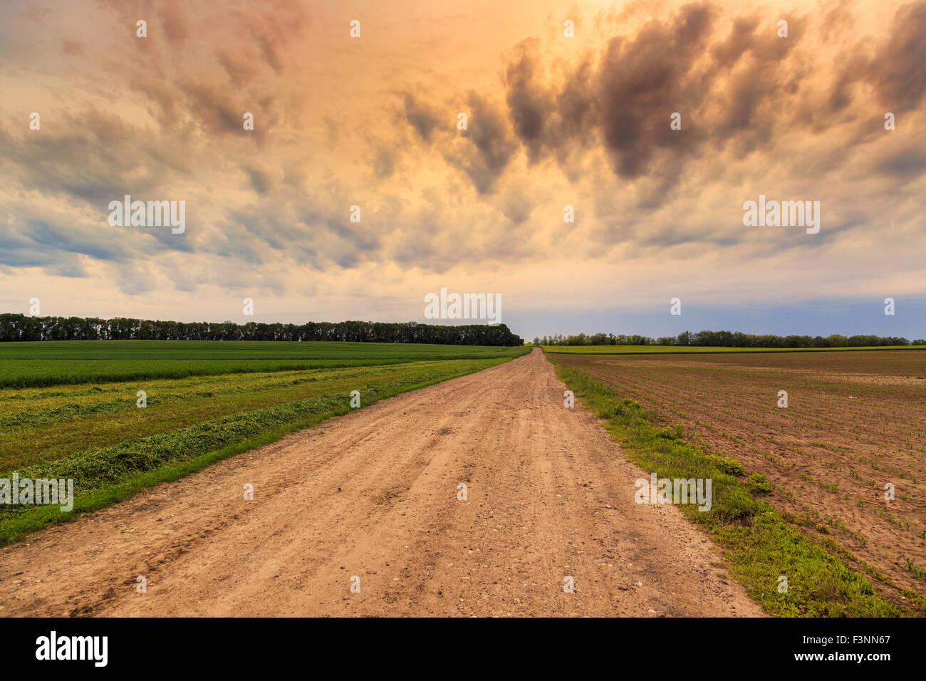 Verschmutzte Straße nach dramatischen Himmel Sommer in Ungarn Stockfoto