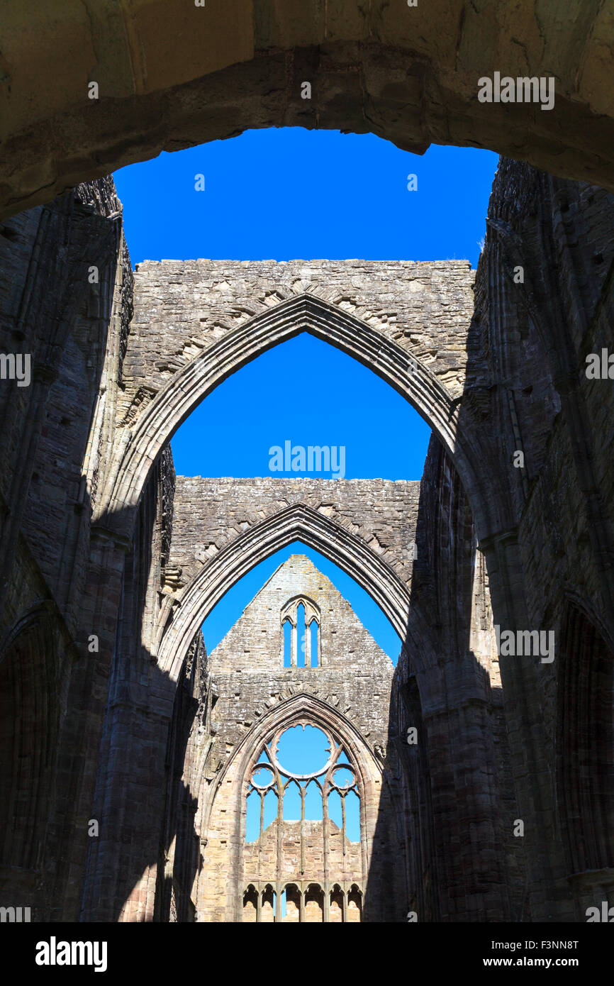 Die zerstörten Bogenfenster von Tintern Abbey, Monmouthshire, Wales Stockfoto