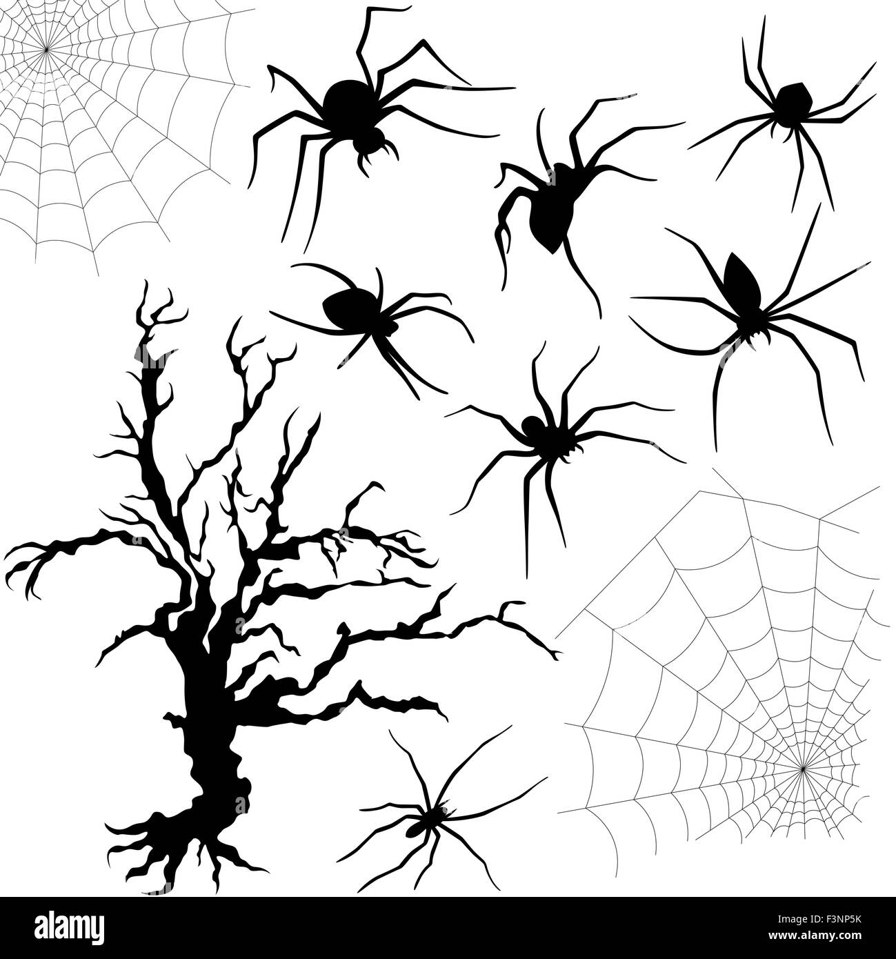 Halloween Silhouette Satz von Spinnen, Spinnen Geflechte und alte getrocknete Baum isoliert auf weißem Hintergrund, hand Zeichnung Vektor hinsichtlich Stock Vektor