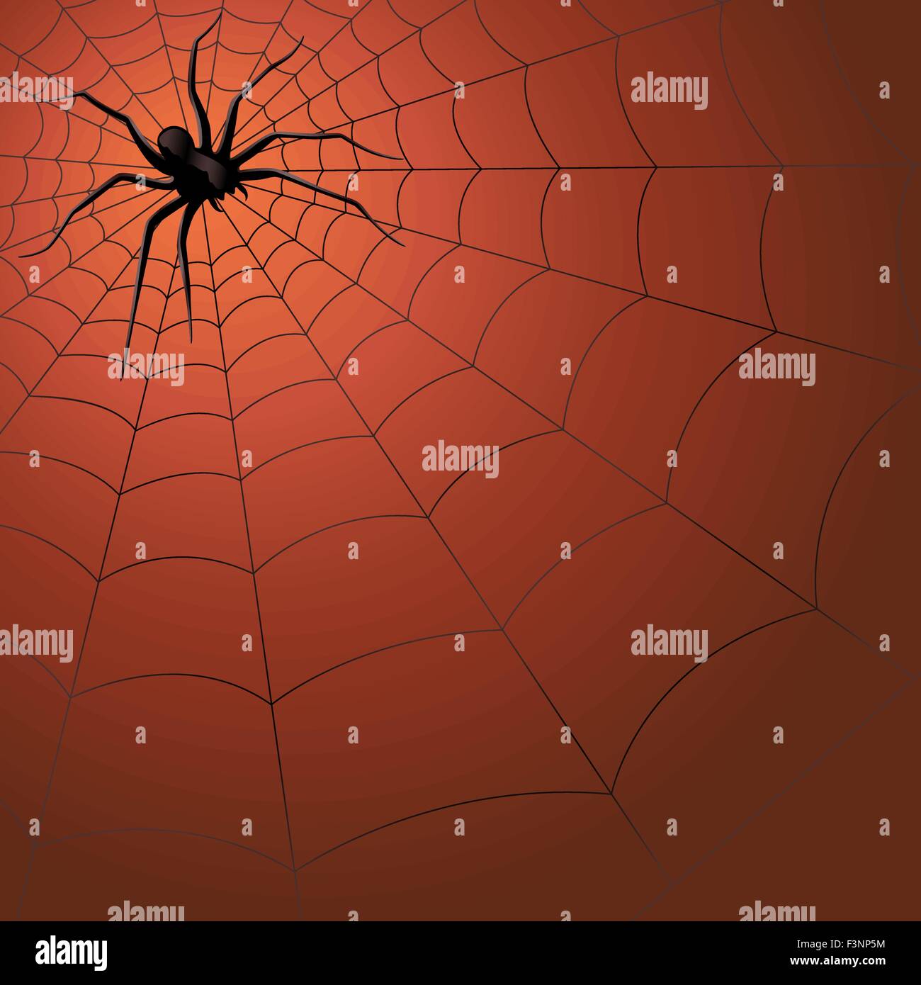 Große dunkle Spinne auf dem Netz, Hand Zeichnung Halloween-Vektor-illustration Stock Vektor