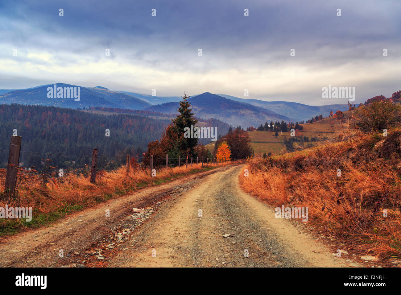 Bunte Straße Herbstlandschaft in den Bergen in Siebenbürgen, Rumänien. Stockfoto