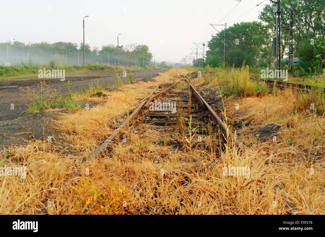 alten verwilderten ungenutzte rostigen Eisenbahn in perspektivischer Darstellung Stockfoto