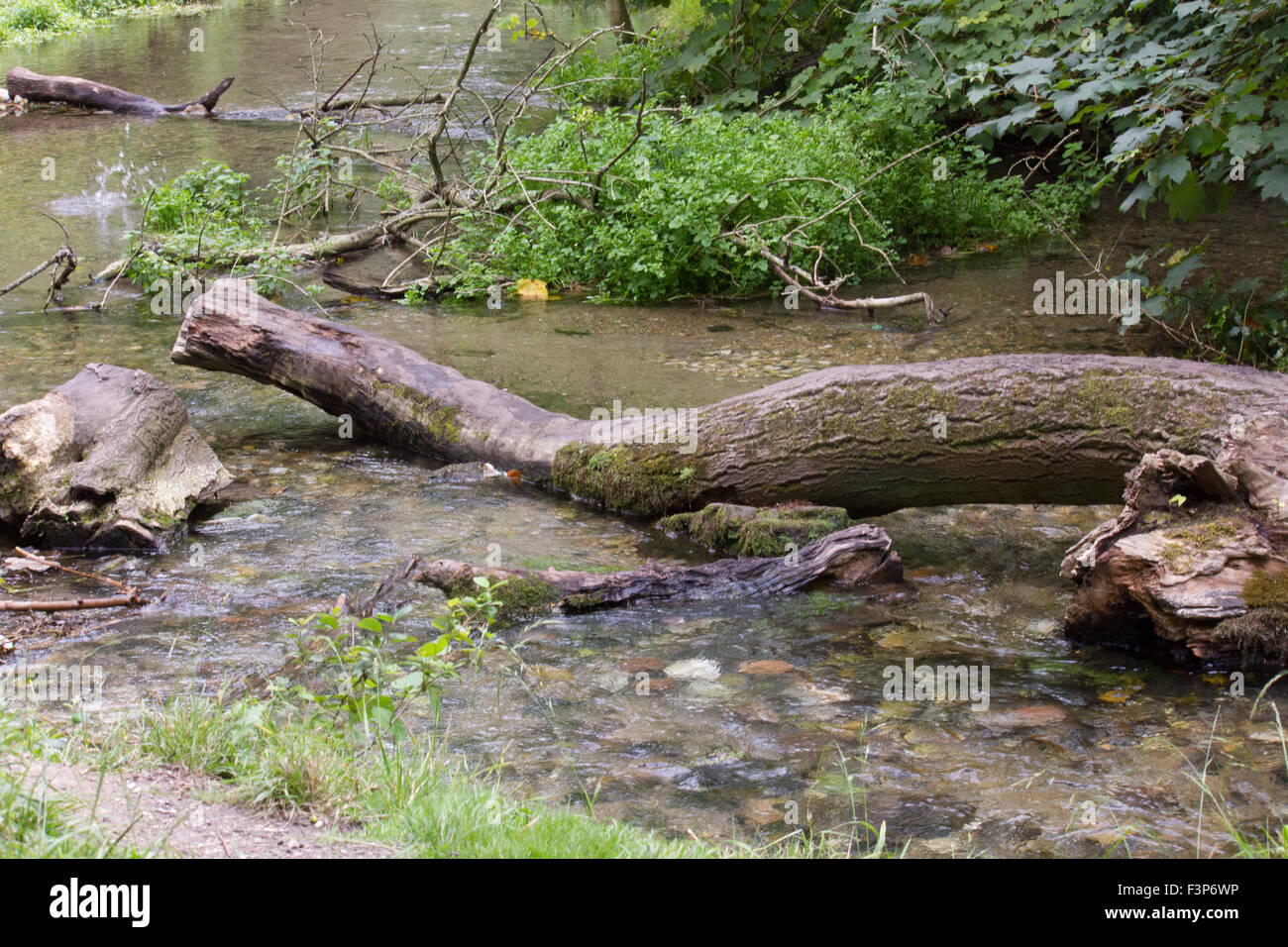Mehreren gefallenen Baumstamm in einem Fluss Stockfoto