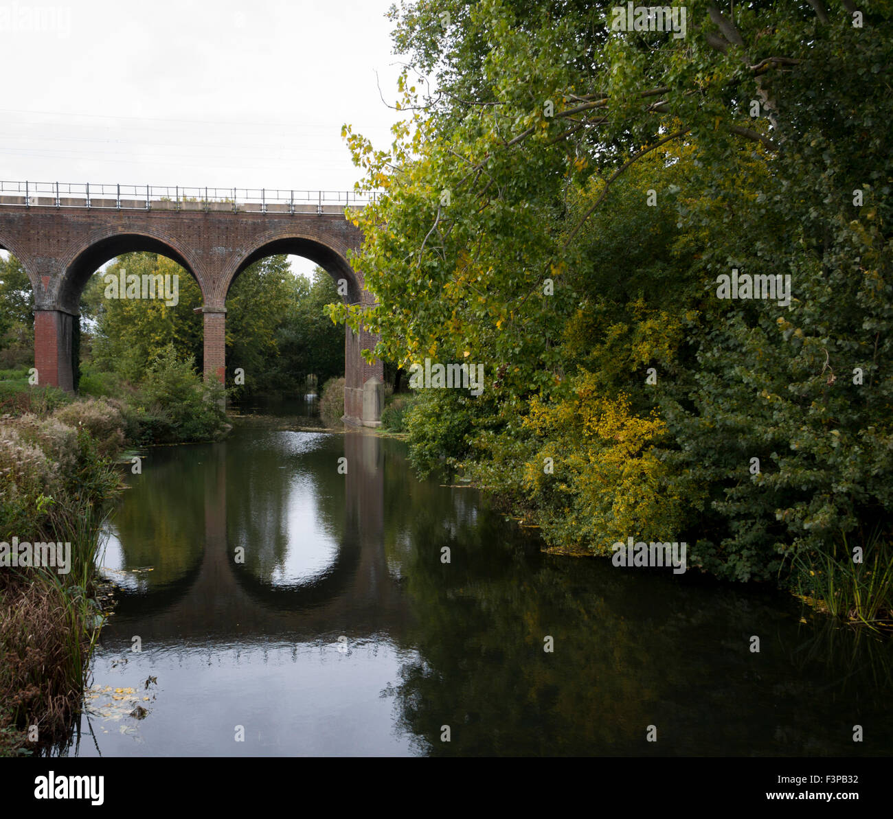 Eisenbahnbrücke über den Fluss Cann, Central Park, Chelmsford Essex uk Stockfoto