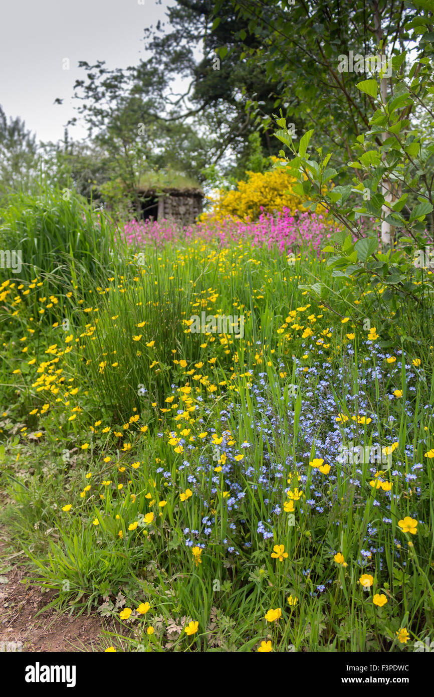 Wildblumen Garten vor Hütte in Kilnford Scheunen am Stadtrand von Dumfries Stockfoto