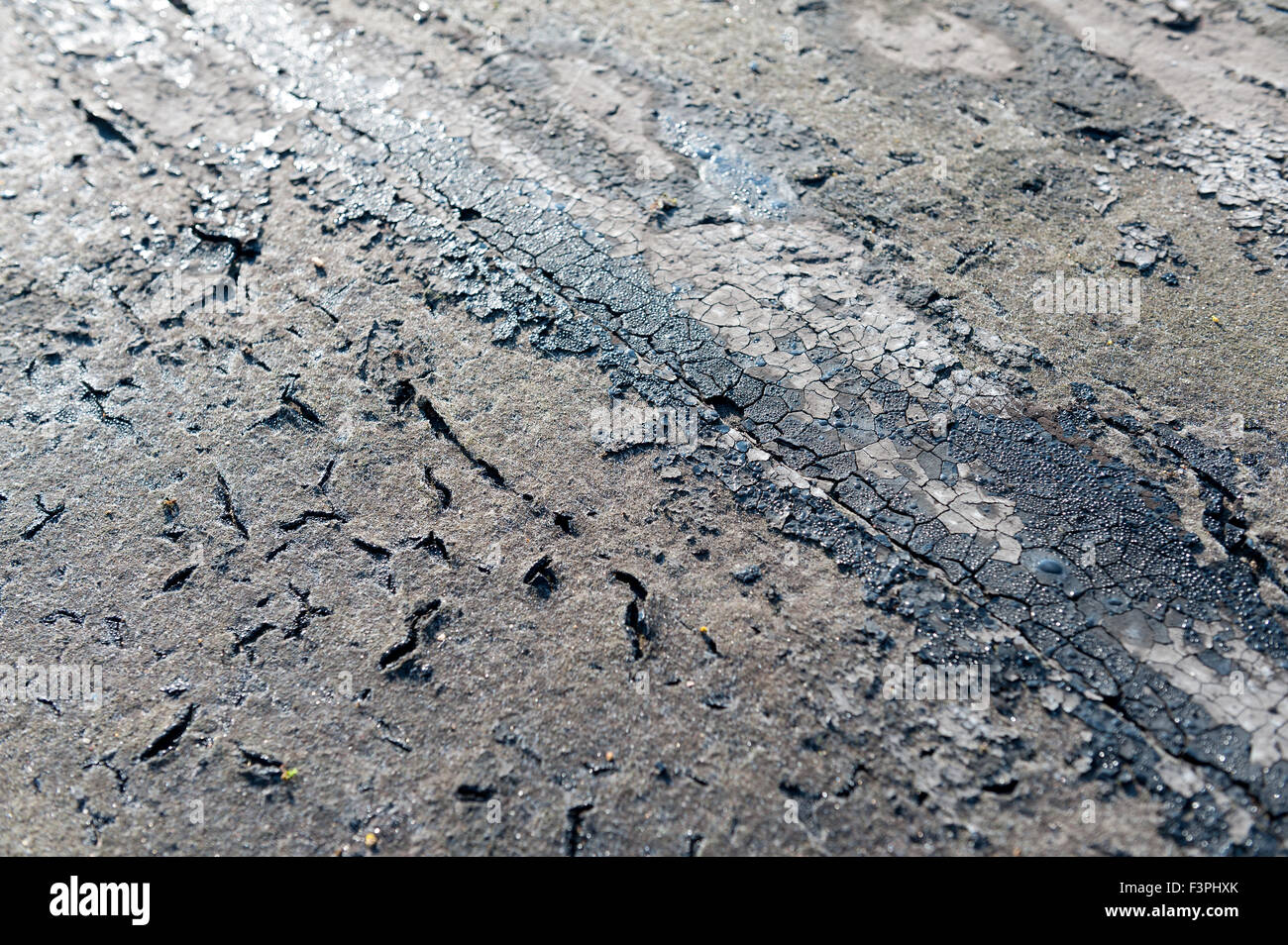 Scheitern und der sich verschlechternden Flachdach bis Eröffnung gemeinsame Risse untergegangenen Dach alte und undichte untergegangenen Oberfläche Bitumen fühlte geknackt Stockfoto