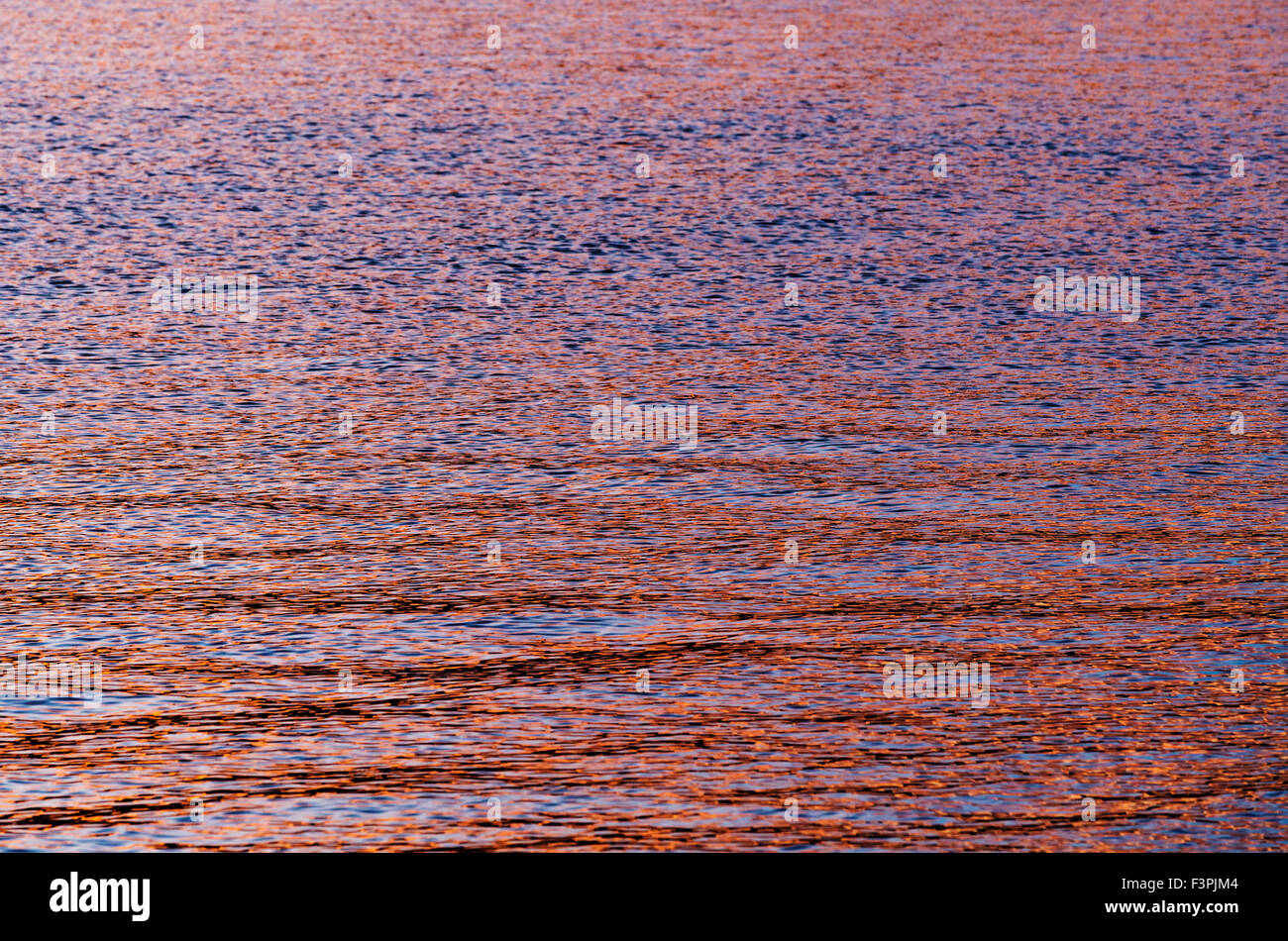 Sonnenuntergang Farben reflektieren in Jackson Lake; Grand Teton Nationalpark; Wyoming; USA Stockfoto