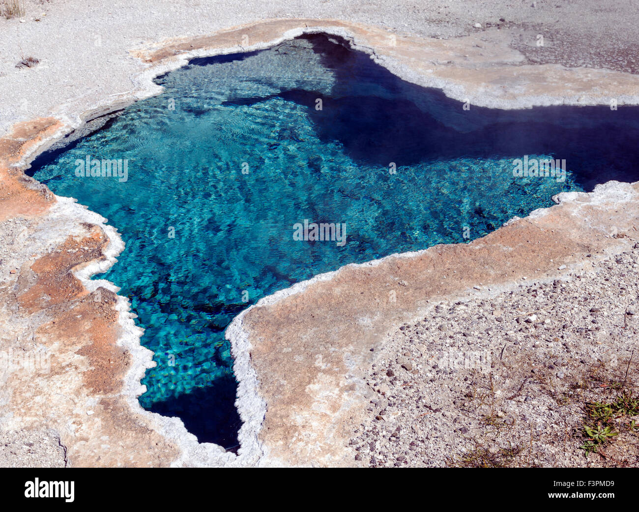 Blue Star Spring, in der Nähe von Old Faithful, Yellowstone Nationalpark, Wyoming, USA Stockfoto