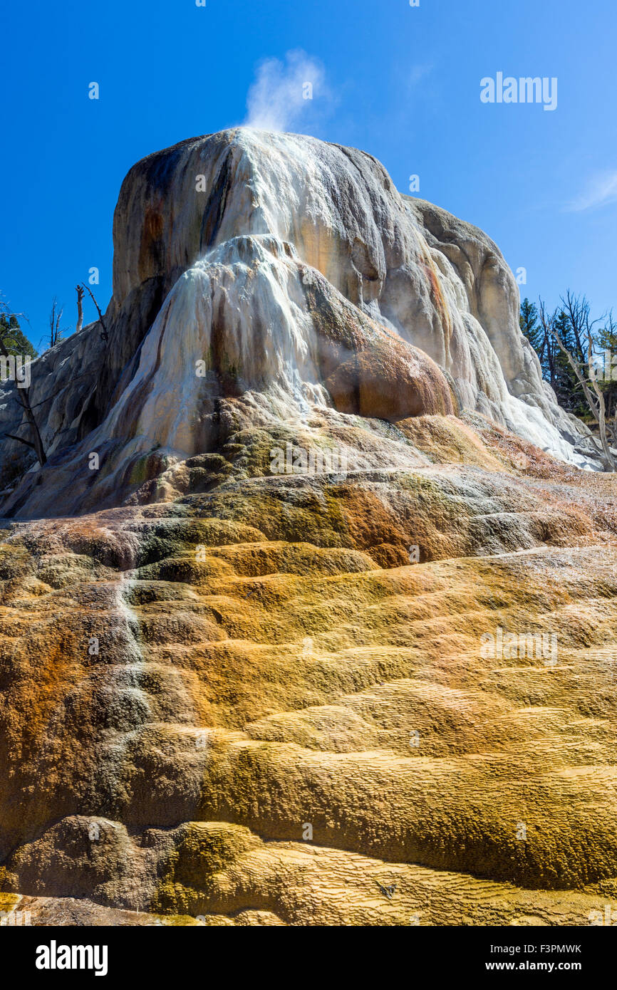Orange-Frühling Hügel; Mammoth Hot Springs; Yellowstone-Nationalpark; Wyoming; USA Stockfoto