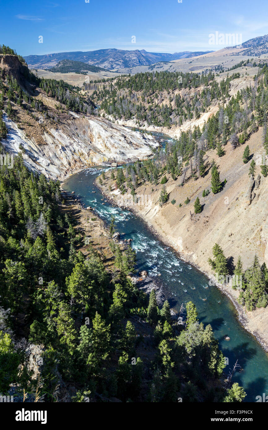 Calcit-Federn; Yellowstone River; Grand Canyon des Yellowstone, Yellowstone-Nationalpark, Wyoming, USA Stockfoto