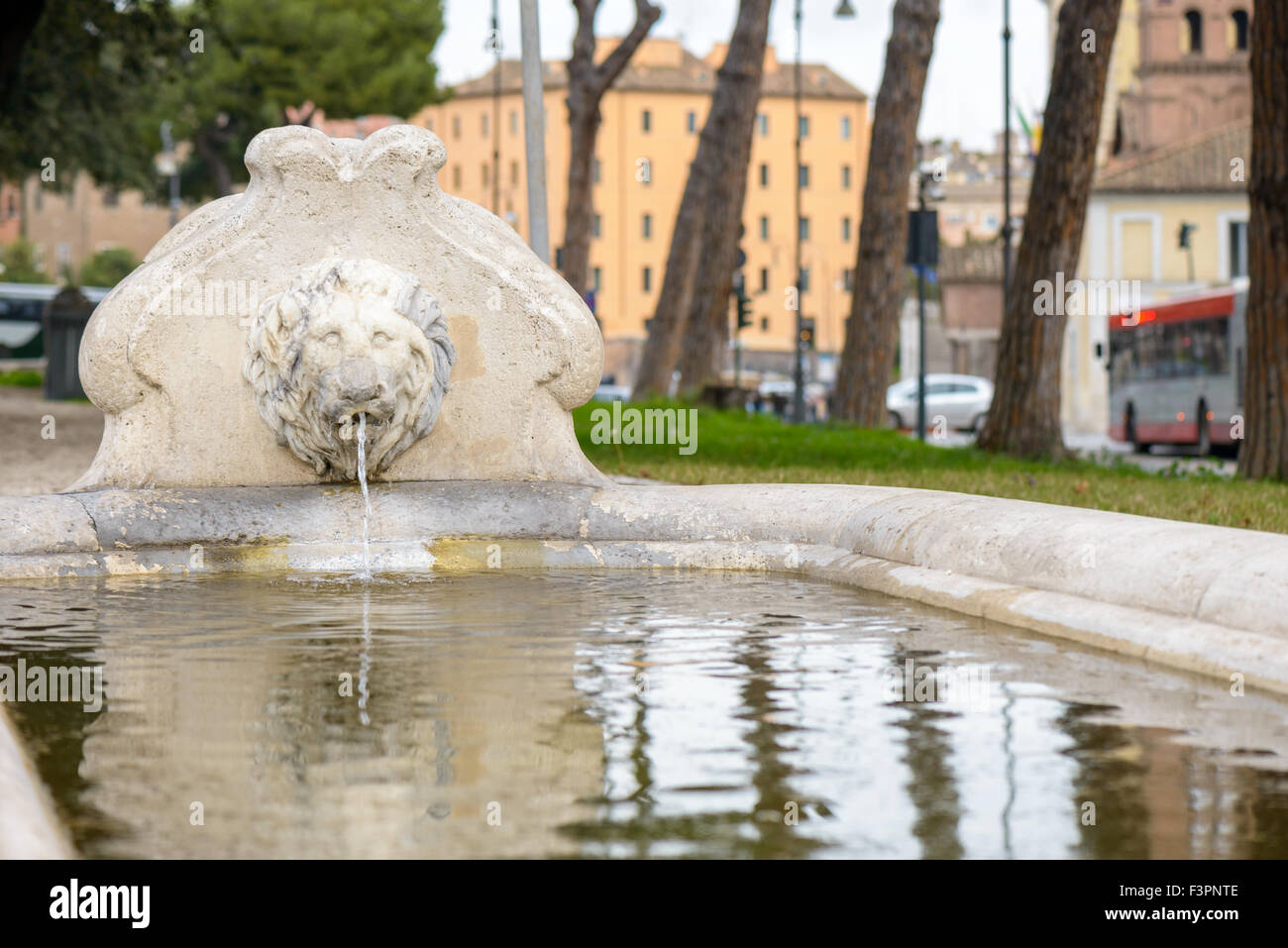 Der Löwe-Brunnen in der Nähe von Santa Maria in Cosmedin in Rom (Italien) Stockfoto