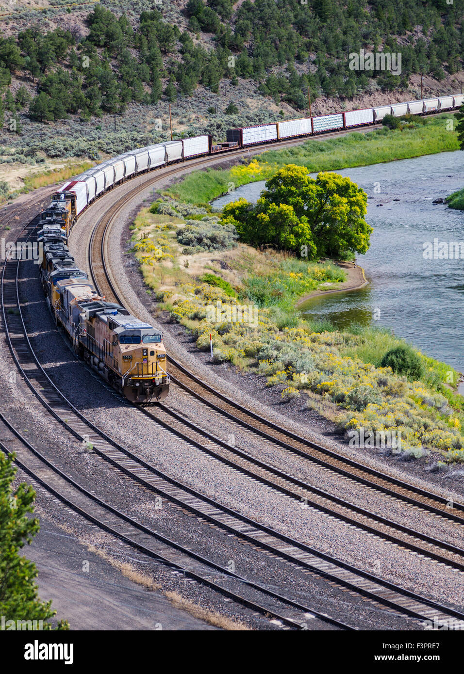 Union Pacific Güterzug Yampa River; Nordwesten Colorado, USA Stockfoto