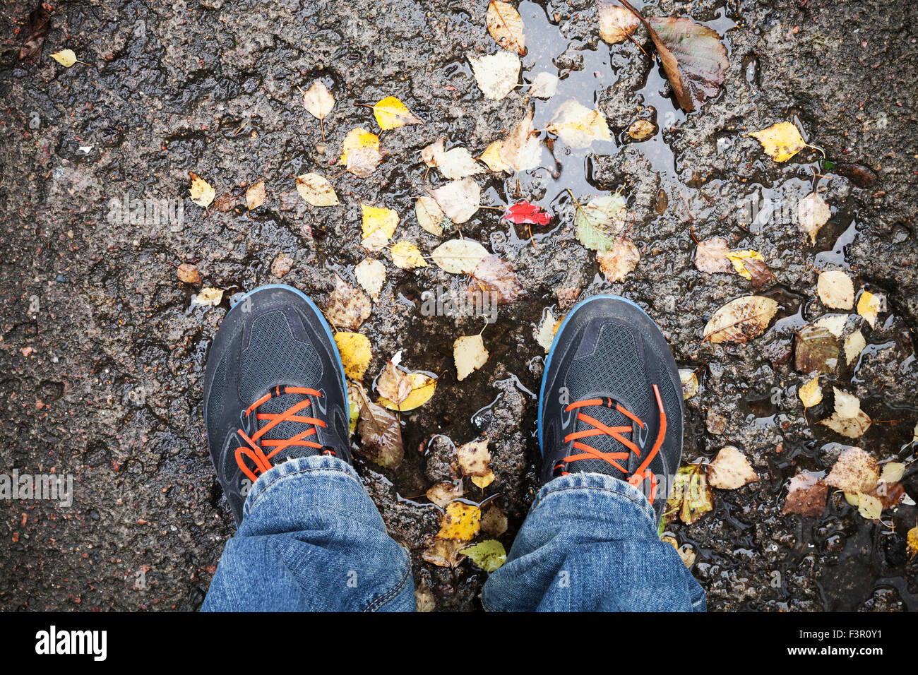 Männliche Füße in Sportschuhe stehen auf schmutzigen Straße mit gelben fallende Blätter im Herbst park Stockfoto
