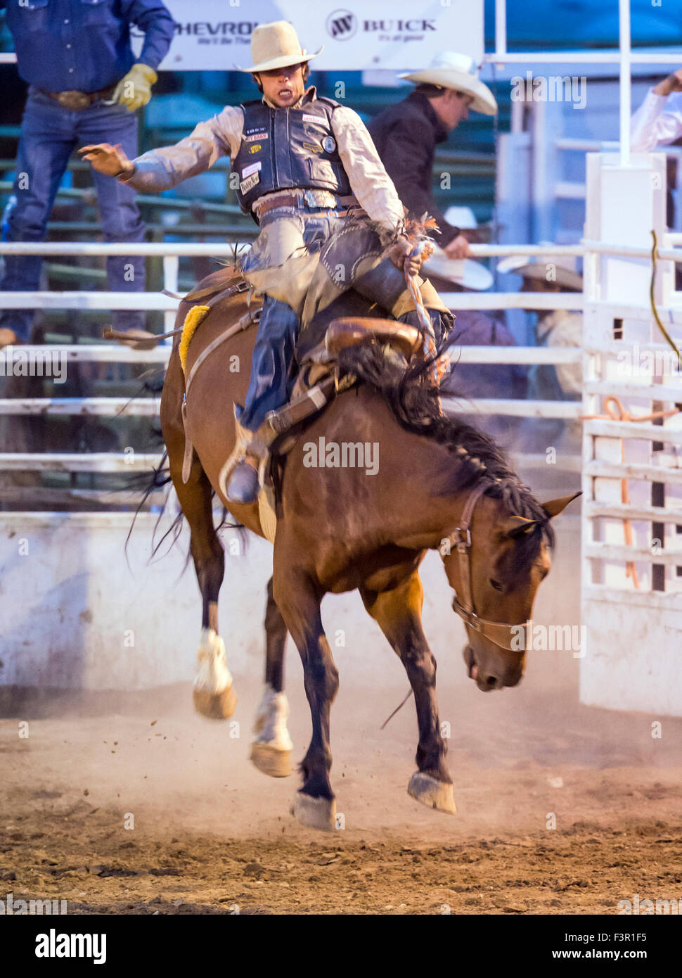 Rodeo Cowboy Reiten ein unruhiges Pferd, Sattel Bronc Wettbewerb, Chaffee County Fair & Rodeo, Salida, Colorado, USA Stockfoto