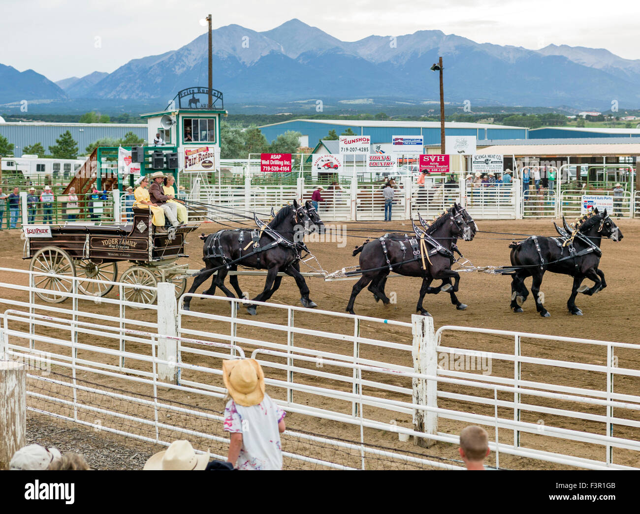 Yoder Familie, Amish, Parade in ihren Wagen, gezogen von sechs Percheron Pferde, Chaffee County Fair & Rodeo, Salida, Colorado, USA Stockfoto