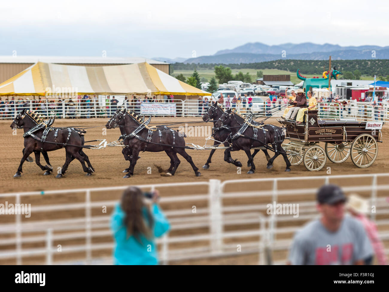 Yoder Familie, Amish, Parade in ihren Wagen, gezogen von sechs Percheron Pferde, Chaffee County Fair & Rodeo, Salida, Colorado, USA Stockfoto