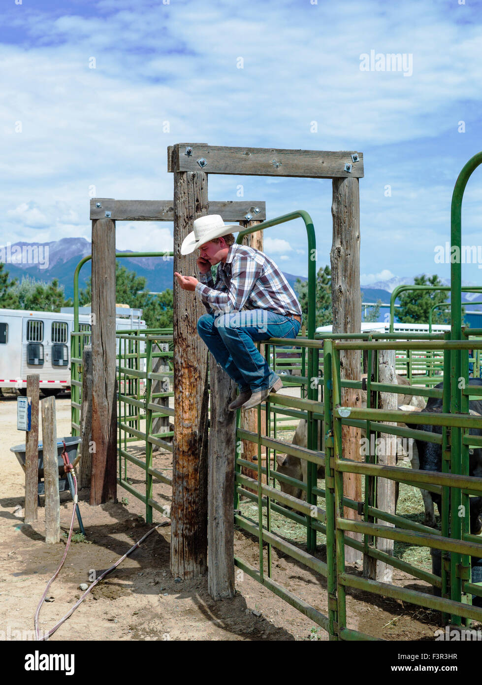 Cowboy auf Zaun mit dem Handy telefonieren, Chaffee County Fair & Rodeo, Salida, Colorado, USA Stockfoto