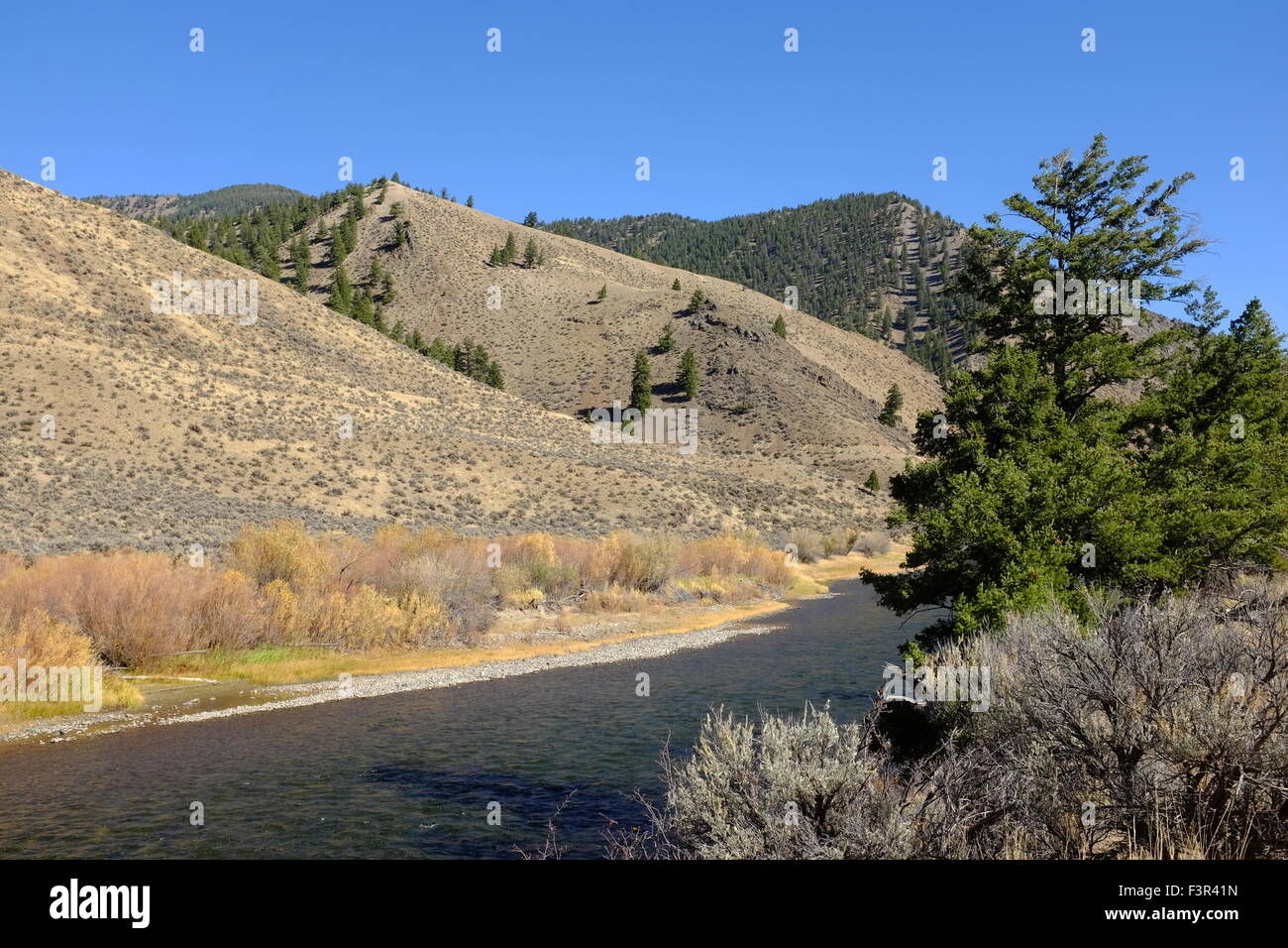 Salmon River in Idaho Stockfoto