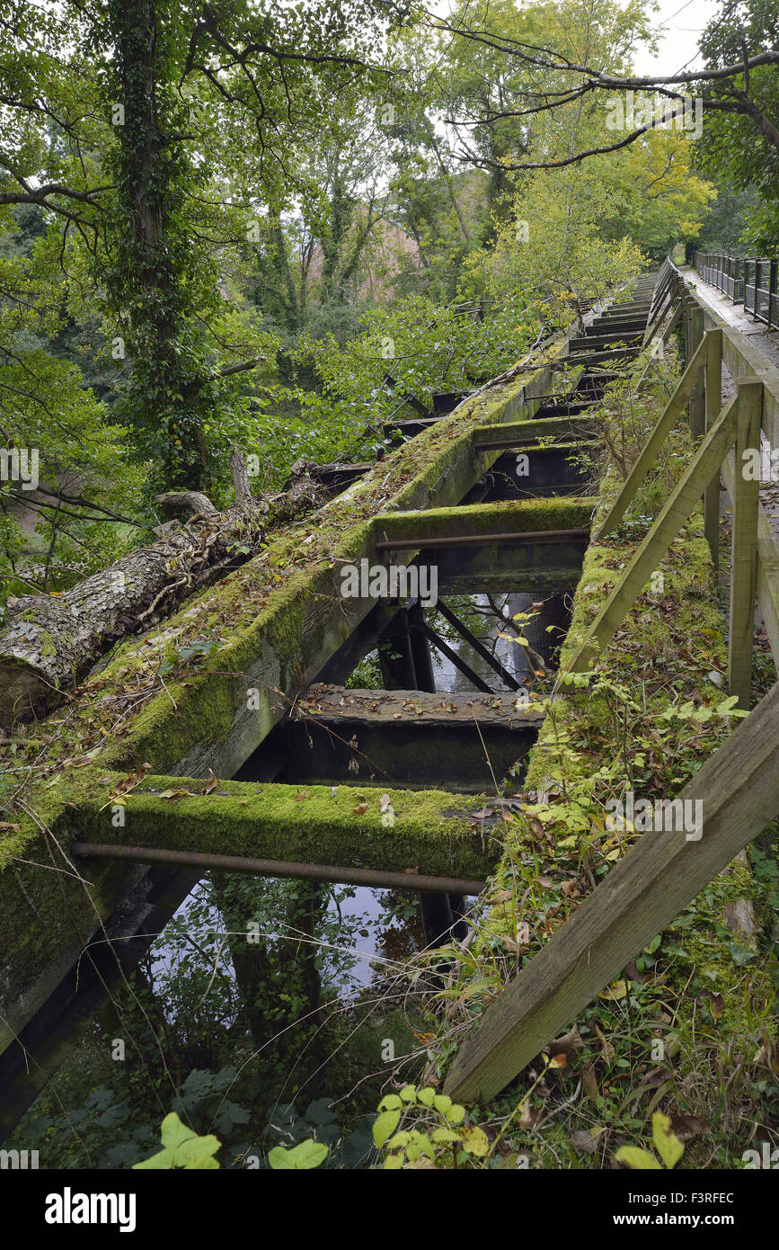 Stillgelegte Eisenbahnbrücke verlinken geringer Lydbrook Welsh Bicknor über den Fluss Wye angesehen von Herefordshire Seite Stockfoto