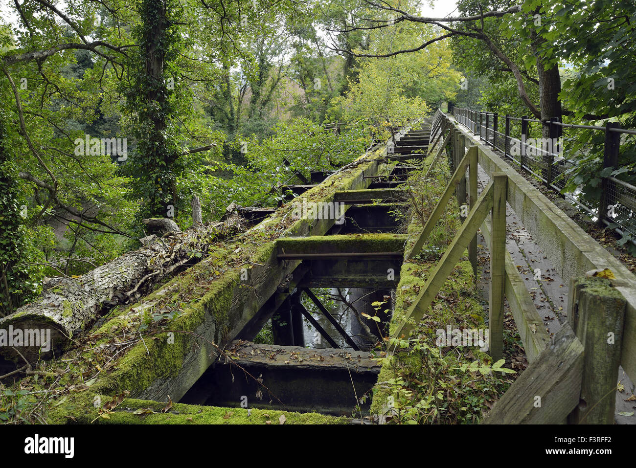 Stillgelegte Eisenbahnbrücke verlinken geringer Lydbrook Welsh Bicknor über den Fluss Wye angesehen von Herefordshire Seite Stockfoto