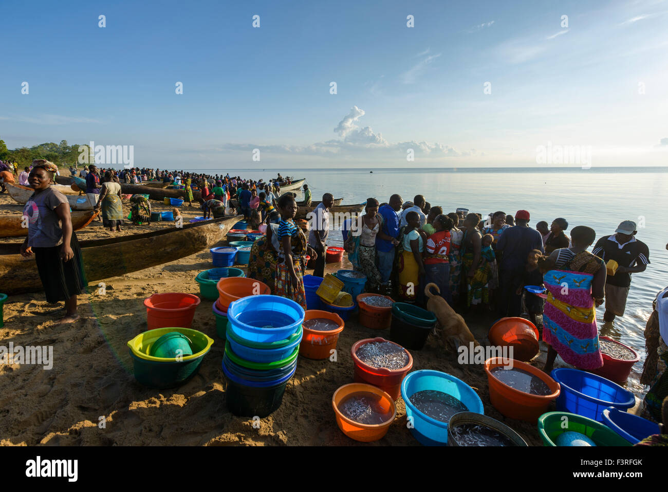 Open-Air-Fischmarkt am Lake Malawi, Malawi, Afrika Stockfoto