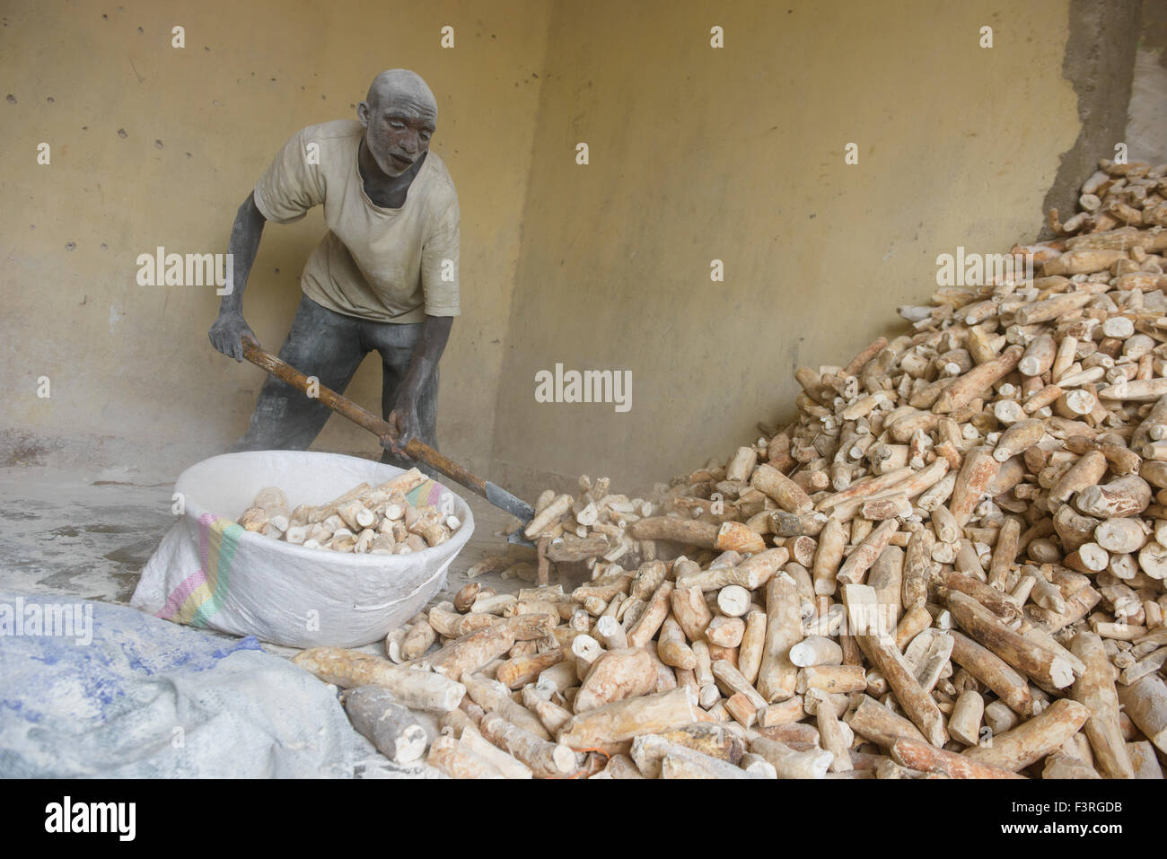 Arbeiter produzieren Manioka, Burundi, Afrika Stockfoto