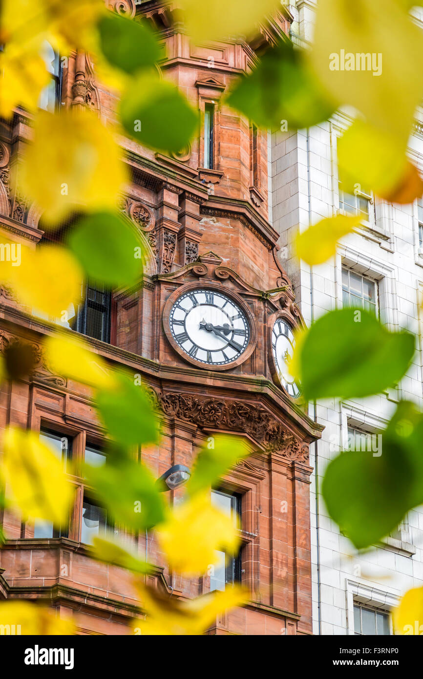 Eine Uhr, die durch herbstliche Blätter betrachtet wird, Glasgow, Schottland, Großbritannien Stockfoto